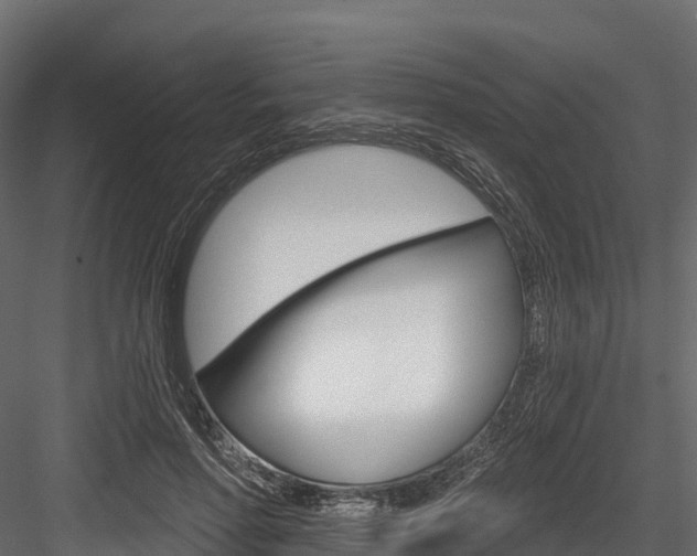 X0000084560598200702231003