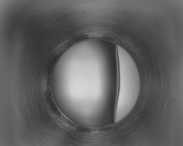 X0000084560600200702231003