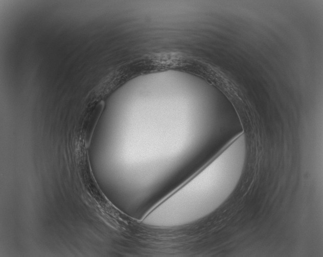 X0000084560601200702231003