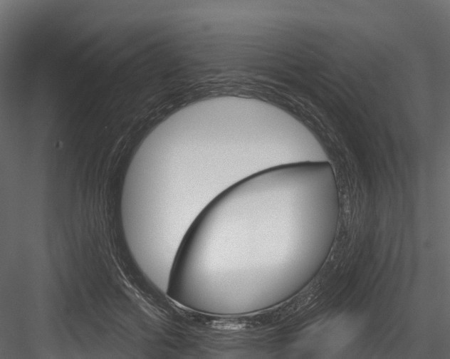 X0000084560602200702231003