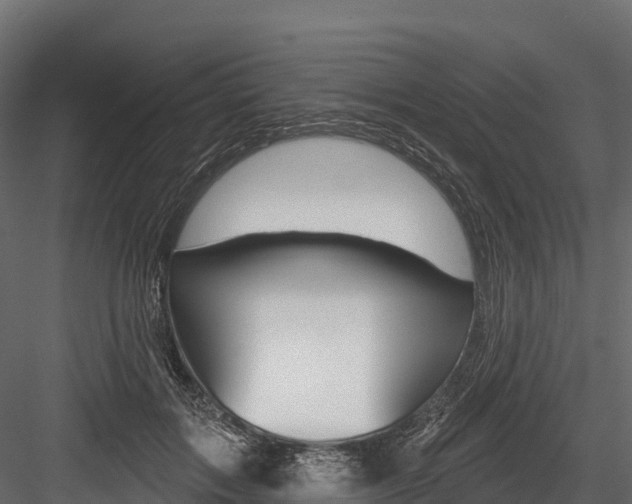 X0000084560603200702231003
