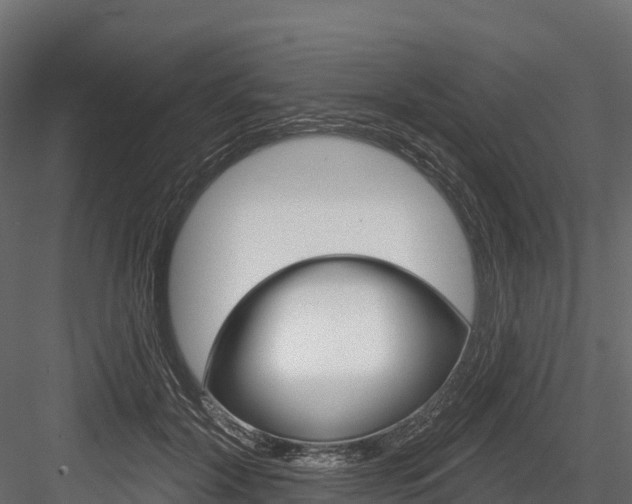 X0000084560604200702231003