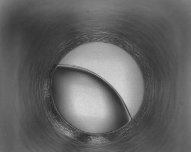X0000084560605200702231003