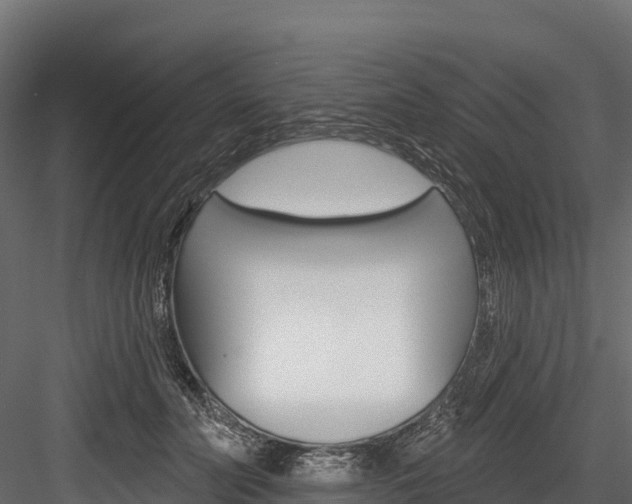 X0000084560606200702231003
