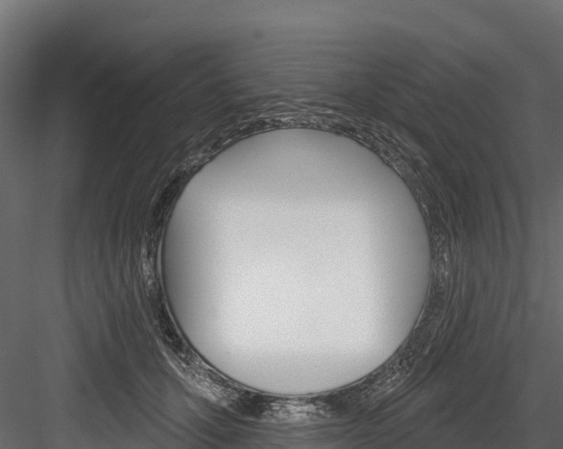 X0000084560607200702231003