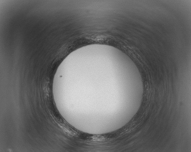 X0000084560612200702231003