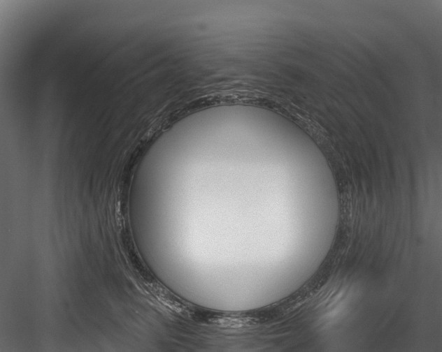 X0000084560615200702231003