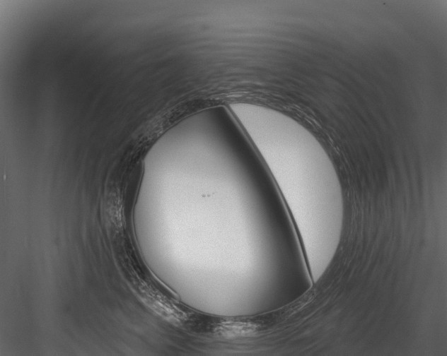 X0000084560617200702231003