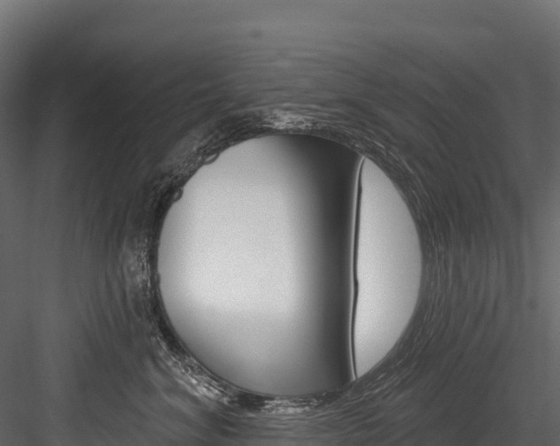 X0000084560620200702231003
