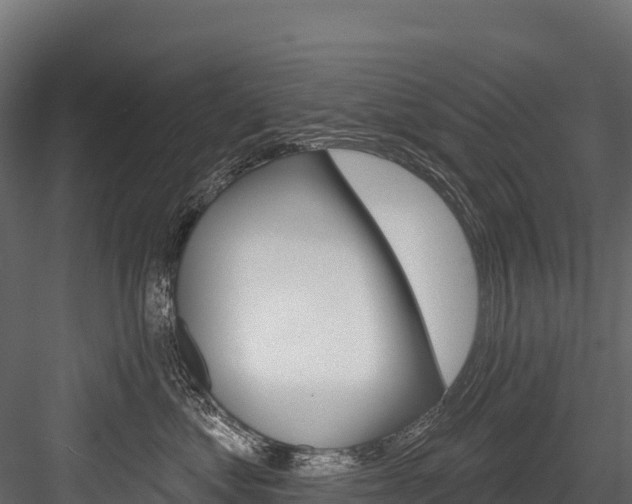 X0000084560621200702231003