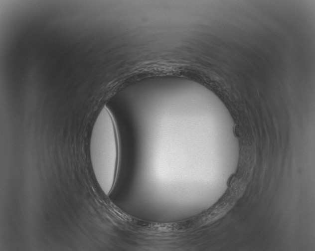 X0000084560624200702231003