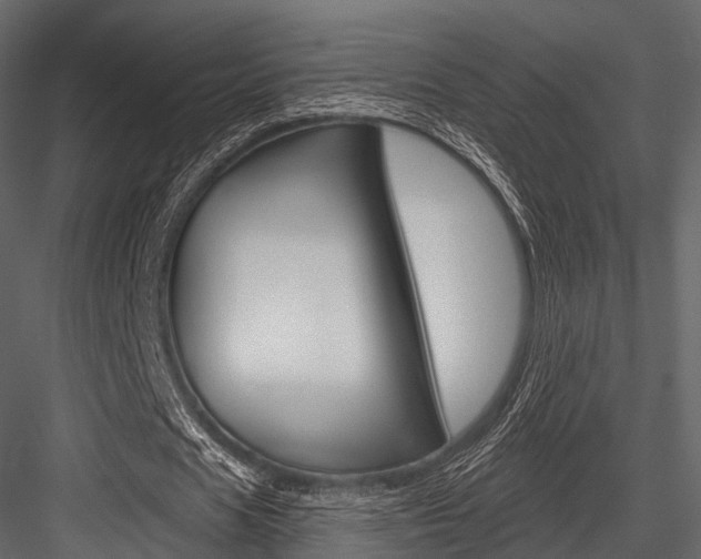 X0000084560625200702231002