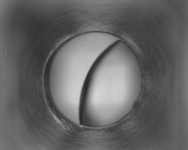 X0000084560626200702231002
