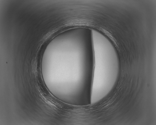 X0000084560627200702231002