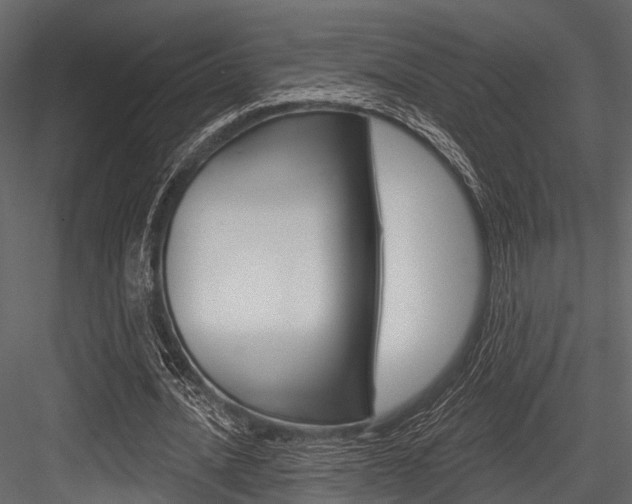 X0000084560628200702231002
