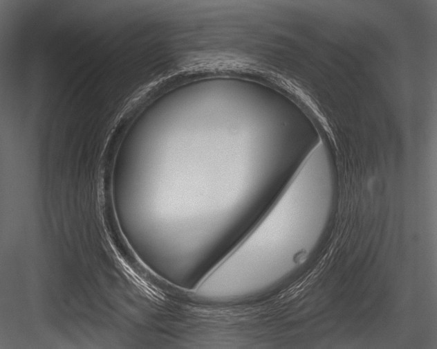 X0000084560629200702231002