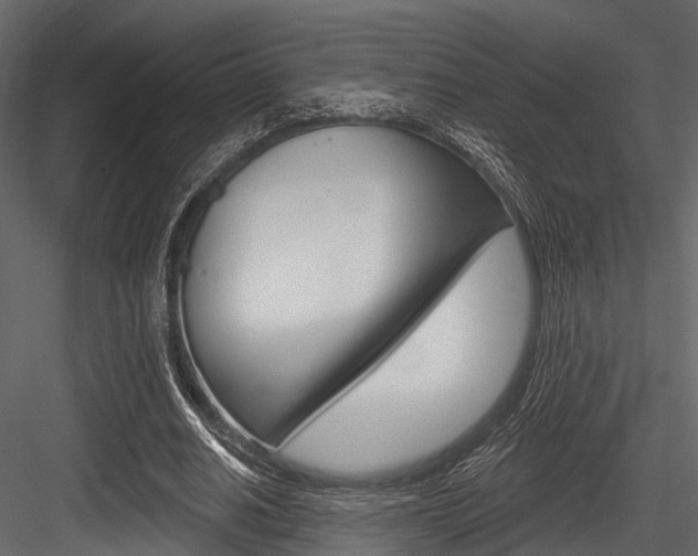 X0000084560630200702231002