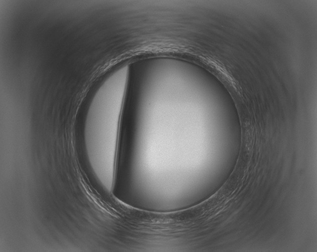 X0000084560631200702231002