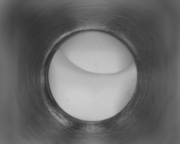 X0000084560632200702231002