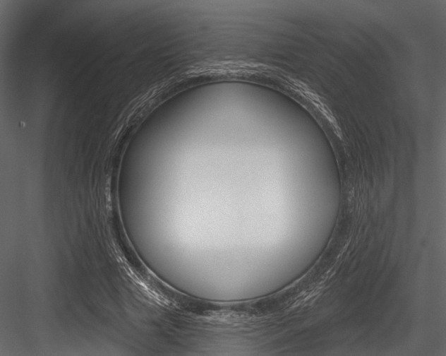X0000084560633200702231002
