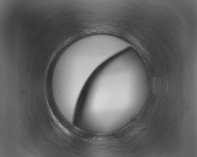 X0000084560634200702231002