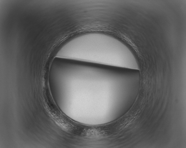 X0000084560635200702231002