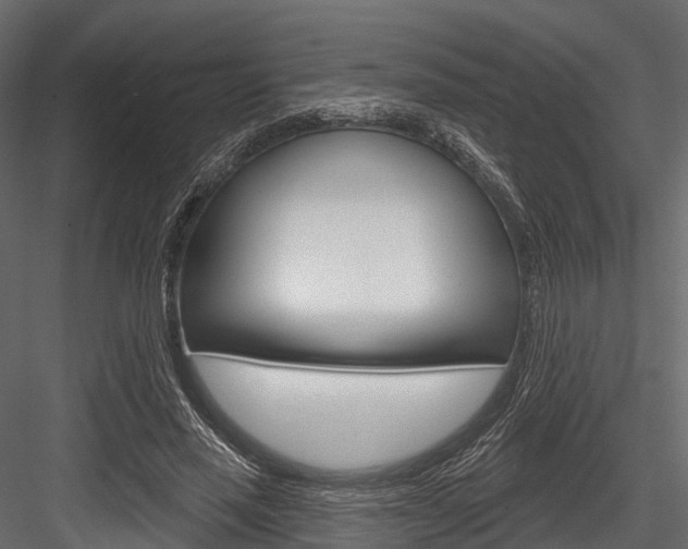 X0000084560637200702231002