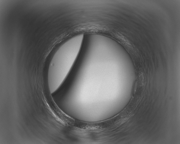 X0000084560638200702231002