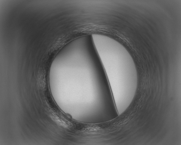 X0000084560642200702231002