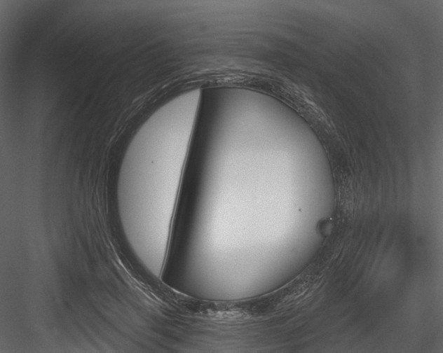 X0000084560645200702231003