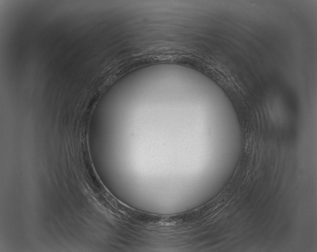X0000084560647200702231003