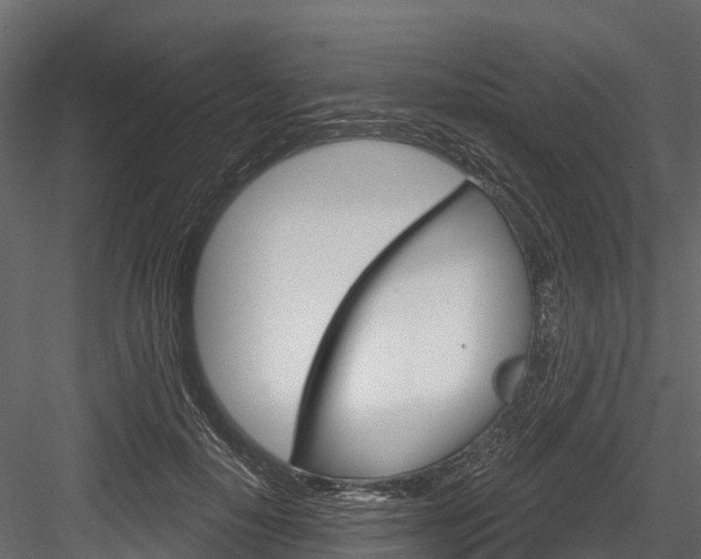 X0000084560650200702231003