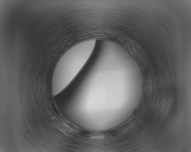 X0000084560653200702231003
