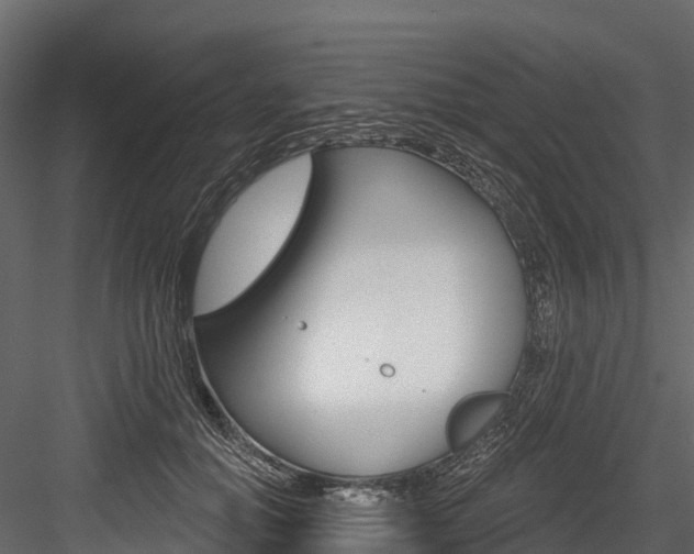 X0000084560654200702231003