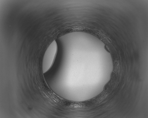 X0000084560655200702231003