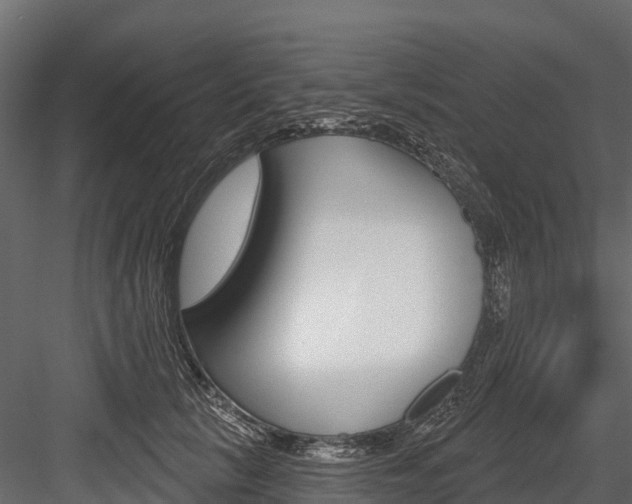 X0000084560657200702231003