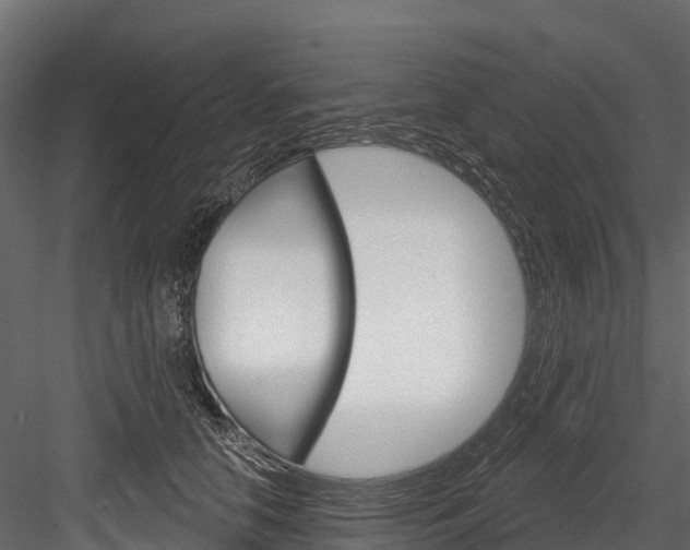 X0000084560658200702231003