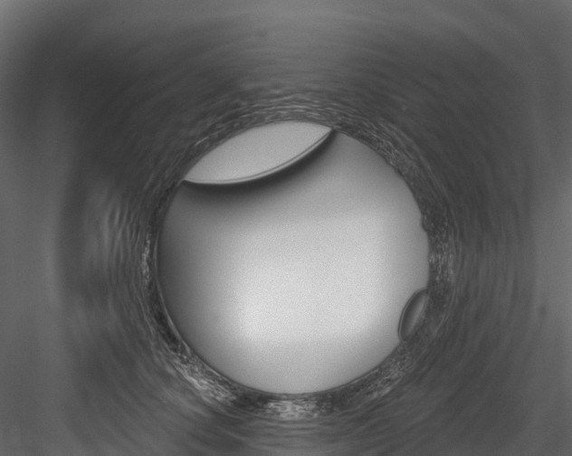X0000084560660200702231003
