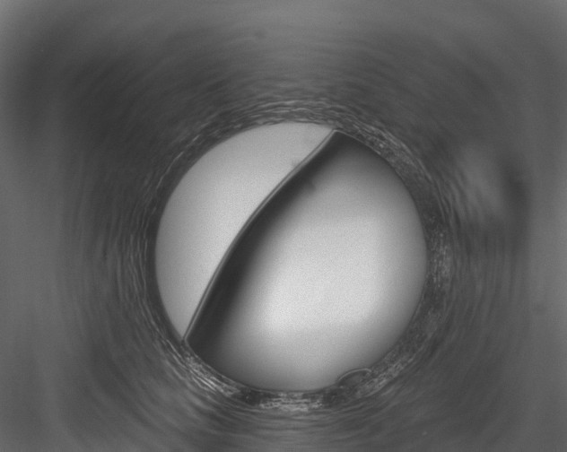 X0000084560661200702231003