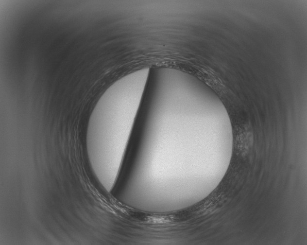 X0000084560662200702231003