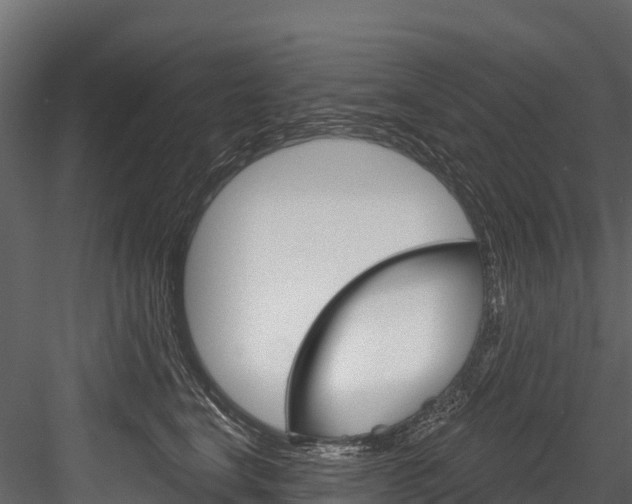 X0000084560664200702231003