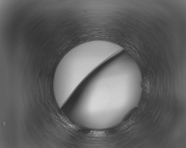 X0000084560665200702231003