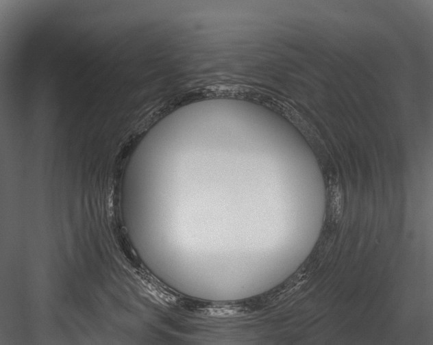 X0000084560668200702231003