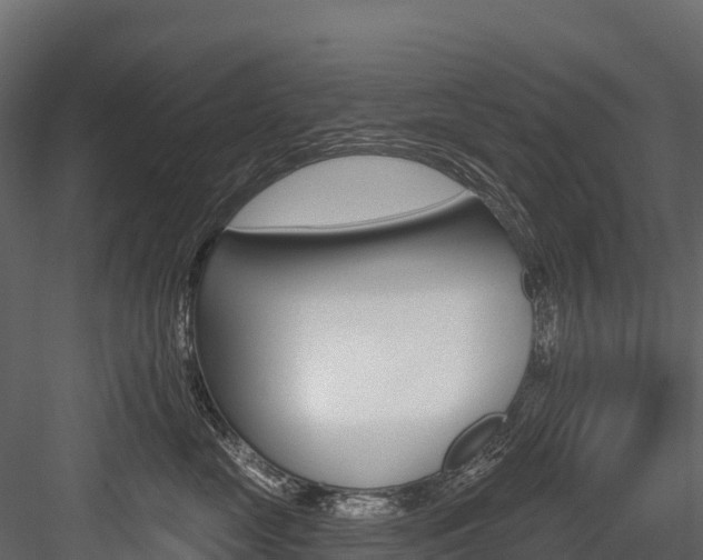 X0000084560669200702231003