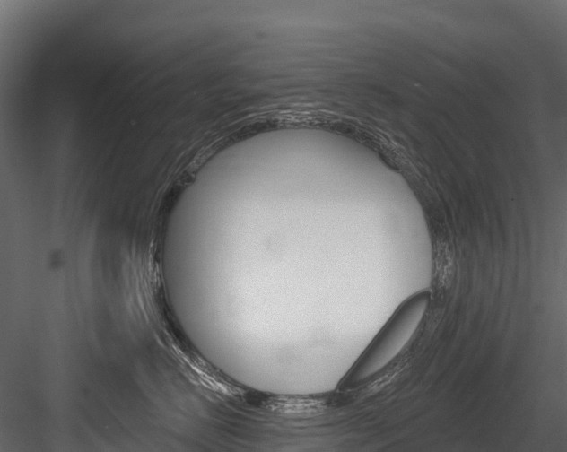 X0000084560670200702231003