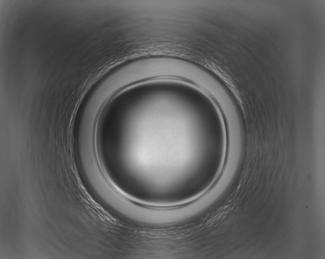X0000084560673200702231002
