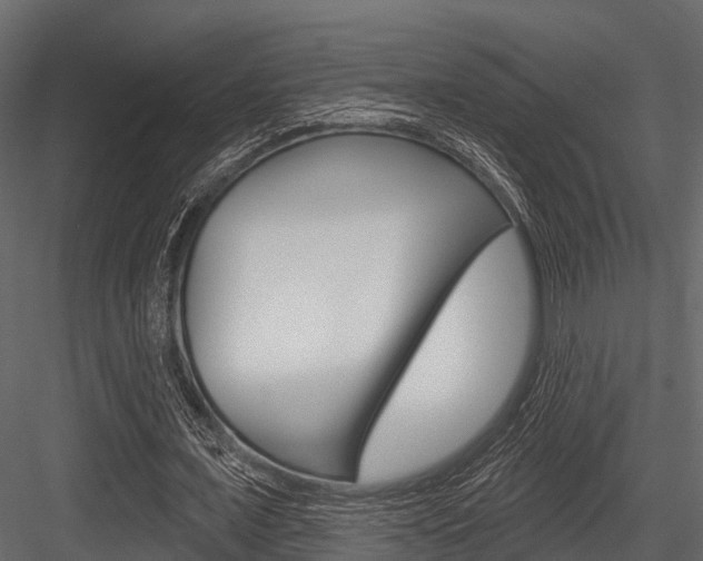 X0000084560675200702231002