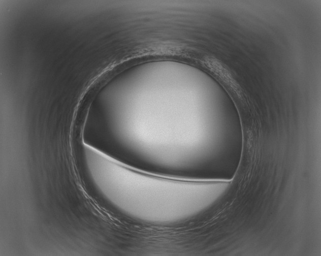 X0000084560676200702231002