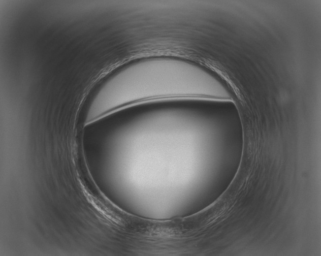 X0000084560677200702231002