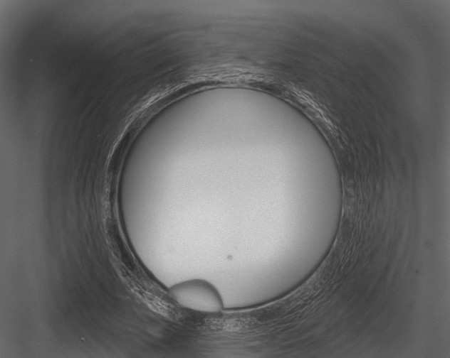 X0000084560679200702231002